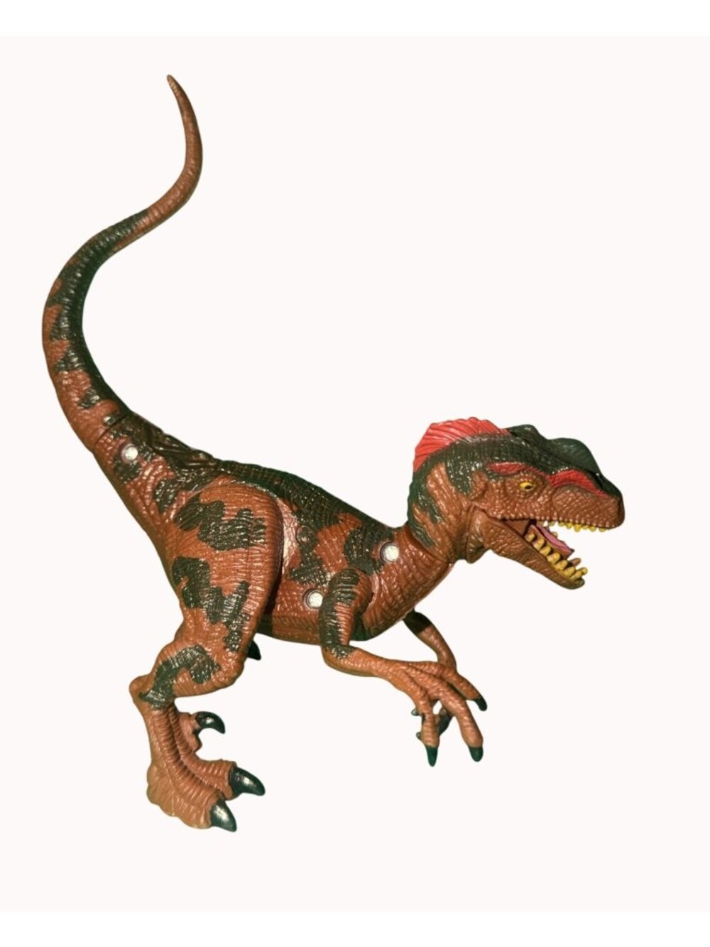 2015 velociraptor Dinosaur Model from Kid Galaxy original rare